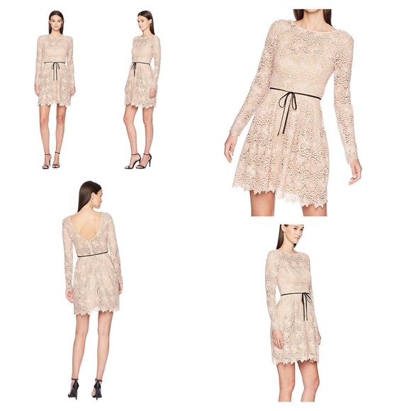 ML MONIQUE LHUILLIER
Lace Scoop Back Dress - Picture 2 of 5